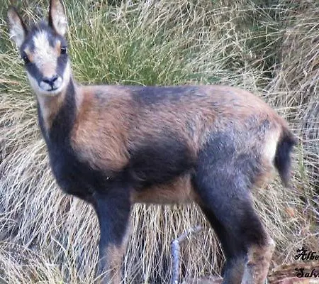 Vall Fosca